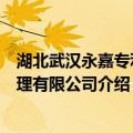 湖北武汉永嘉专利代理有限公司（关于湖北武汉永嘉专利代理有限公司介绍）
