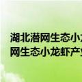 湖北潜网生态小龙虾产业园集团有限公司妇联（关于湖北潜网生态小龙虾产业园集团有限公司妇联介绍）