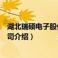 湖北瑞硕电子股份有限公司（关于湖北瑞硕电子股份有限公司介绍）