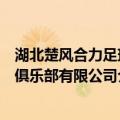 湖北楚风合力足球俱乐部有限公司（关于湖北楚风合力足球俱乐部有限公司介绍）