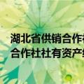 湖北省供销合作社社有资产经营管理公司（关于湖北省供销合作社社有资产经营管理公司介绍）