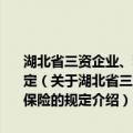 湖北省三资企业、私营企业、个体经济从业人员参加基本养老保险的规定（关于湖北省三资企业、私营企业、个体经济从业人员参加基本养老保险的规定介绍）