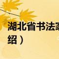 湖北省书法家协会（关于湖北省书法家协会介绍）