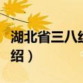 湖北省三八红旗手（关于湖北省三八红旗手介绍）