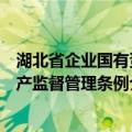 湖北省企业国有资产监督管理条例（关于湖北省企业国有资产监督管理条例介绍）