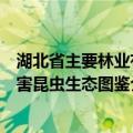 湖北省主要林业有害昆虫生态图鉴（关于湖北省主要林业有害昆虫生态图鉴介绍）