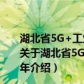 湖北省5G+工业互联网融合发展行动计划 2021-2023年（关于湖北省5G+工业互联网融合发展行动计划 2021-2023年介绍）
