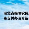 湖北省保障农民工工资支付办法（关于湖北省保障农民工工资支付办法介绍）