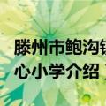 滕州市鲍沟镇中心小学（关于滕州市鲍沟镇中心小学介绍）