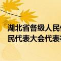 湖北省各级人民代表大会代表补选办法（关于湖北省各级人民代表大会代表补选办法介绍）