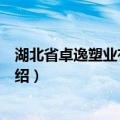 湖北省卓逸塑业有限公司（关于湖北省卓逸塑业有限公司介绍）