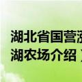 湖北省国营涨渡湖农场（关于湖北省国营涨渡湖农场介绍）