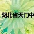 湖北省天门中学（关于湖北省天门中学介绍）