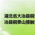 湖北省大冶县铜录山接触交代铜铁矿床研究（关于湖北省大冶县铜录山接触交代铜铁矿床研究介绍）
