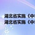 湖北省实施《中华人民共和国中小企业促进法》办法（关于湖北省实施《中华人民共和国中小企业促进法》办法介绍）