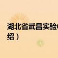 湖北省武昌实验中学分校（关于湖北省武昌实验中学分校介绍）