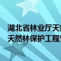湖北省林业厅天然林保护工程管理中心（关于湖北省林业厅天然林保护工程管理中心介绍）