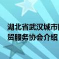 湖北省武汉城市圈商贸服务协会（关于湖北省武汉城市圈商贸服务协会介绍）