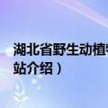 湖北省野生动植物保护总站（关于湖北省野生动植物保护总站介绍）