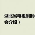 湖北省电视剧制作产业协会（关于湖北省电视剧制作产业协会介绍）