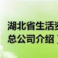湖北省生活资料总公司（关于湖北省生活资料总公司介绍）
