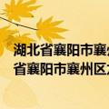 湖北省襄阳市襄州区龙王镇杨湾村志愿者服务队（关于湖北省襄阳市襄州区龙王镇杨湾村志愿者服务队介绍）