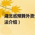 湖北省预算外资金管理办法（关于湖北省预算外资金管理办法介绍）