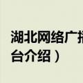 湖北网络广播电视台（关于湖北网络广播电视台介绍）