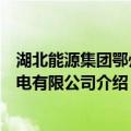 湖北能源集团鄂州发电有限公司（关于湖北能源集团鄂州发电有限公司介绍）