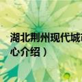 湖北荆州现代城市服务中心（关于湖北荆州现代城市服务中心介绍）