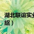 湖北联谊实业集团（关于湖北联谊实业集团介绍）