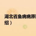 湖北省鱼病病原区系图志（关于湖北省鱼病病原区系图志介绍）