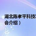 湖北陈孝平科技发展基金会（关于湖北陈孝平科技发展基金会介绍）