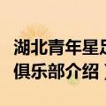 湖北青年星足球俱乐部（关于湖北青年星足球俱乐部介绍）