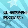 湖北诺克特药业股份有限公司（关于湖北诺克特药业股份有限公司介绍）