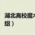 湖北高校魔术联盟（关于湖北高校魔术联盟介绍）