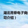 湖北青藜电子商务有限公司（关于湖北青藜电子商务有限公司介绍）