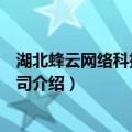 湖北蜂云网络科技有限公司（关于湖北蜂云网络科技有限公司介绍）