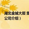 湖北金城大厦 集团实业公司（关于湖北金城大厦 集团实业公司介绍）