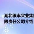 湖北银丰实业集团有限责任公司（关于湖北银丰实业集团有限责任公司介绍）