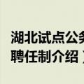湖北试点公务员聘任制（关于湖北试点公务员聘任制介绍）