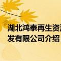 湖北鸿泰再生资源开发有限公司（关于湖北鸿泰再生资源开发有限公司介绍）