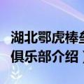 湖北鄂虎棒垒球俱乐部（关于湖北鄂虎棒垒球俱乐部介绍）