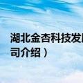 湖北金杏科技发展有限公司（关于湖北金杏科技发展有限公司介绍）