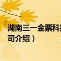 湖南三一金票科技有限公司（关于湖南三一金票科技有限公司介绍）