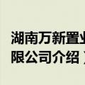 湖南万新置业有限公司（关于湖南万新置业有限公司介绍）