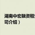 湖南中宏融资租赁有限公司（关于湖南中宏融资租赁有限公司介绍）