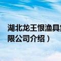 湖北龙王恨渔具集团有限公司（关于湖北龙王恨渔具集团有限公司介绍）