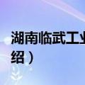 湖南临武工业园区（关于湖南临武工业园区介绍）
