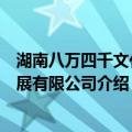 湖南八万四千文化发展有限公司（关于湖南八万四千文化发展有限公司介绍）